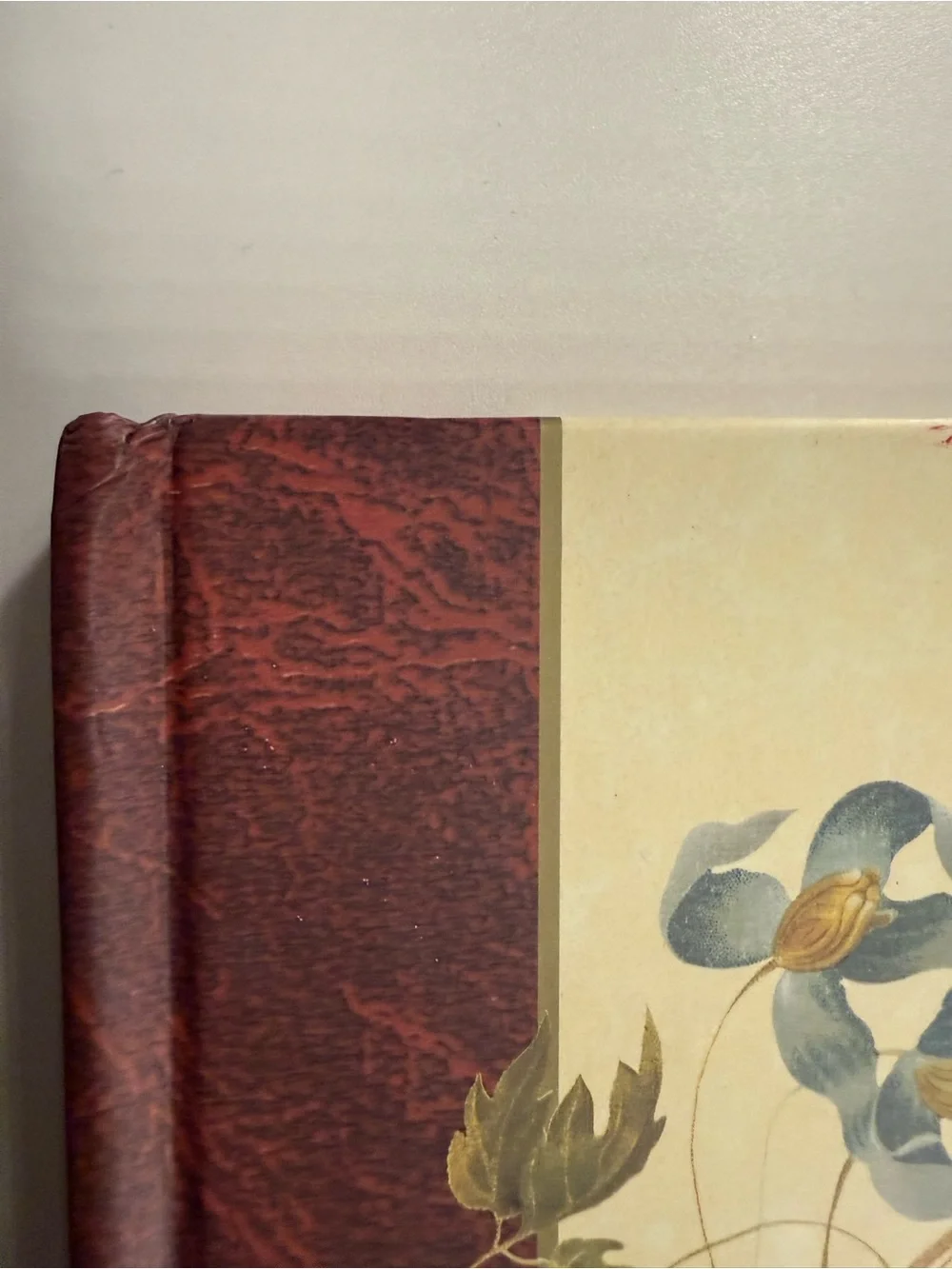The Victorian Photograph Album Hardbound Antique Style By Whitecap Books